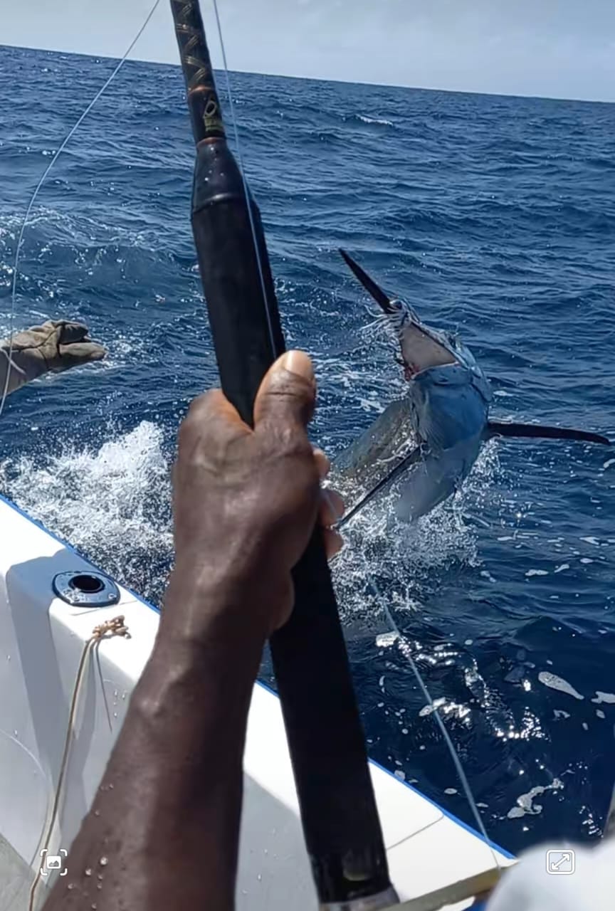 full-day-fishing-trip-charter Full Day Fishing trip charters